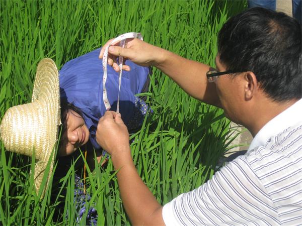 广西贵港港南区切实抓好当前田间管理工作确保晚稻增产丰收