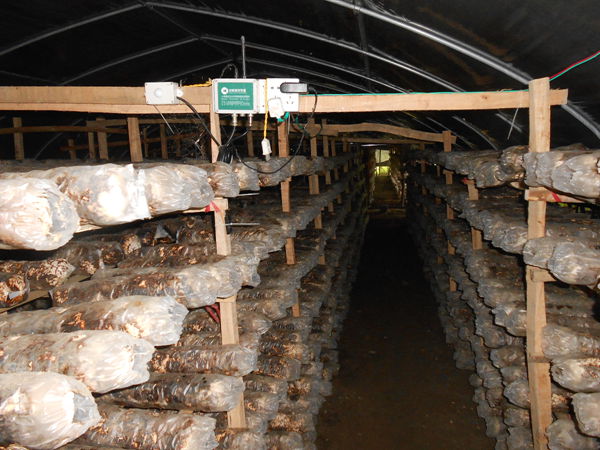 ����ȫ������ˮ�������ˮĤ����չ�㹽����