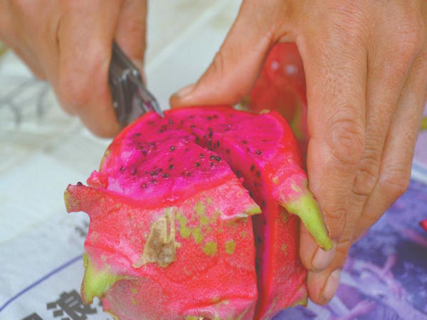 ���˴��ѵı��غ��Ļ�����