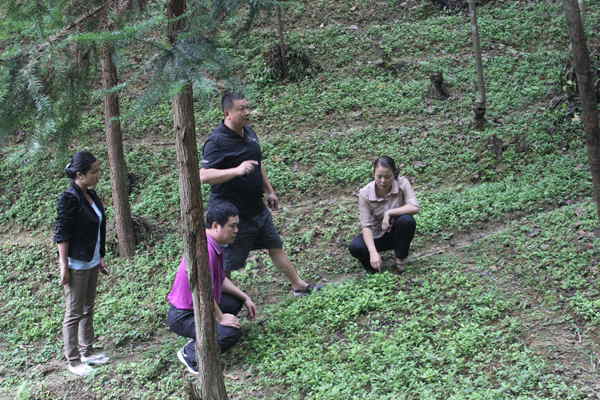 ͼһΪظسģë²鿴ɺ