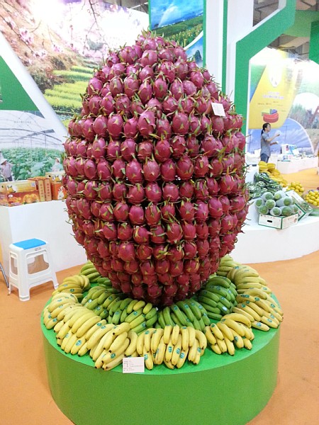 ����������ˮ���ڵ�ʮ���й����˲�ũҵչ���Ϸ����