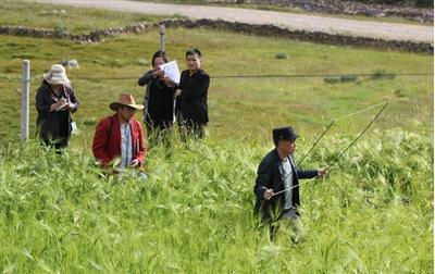 西藏昌都地区农牧局赴江达县验收种植业项目