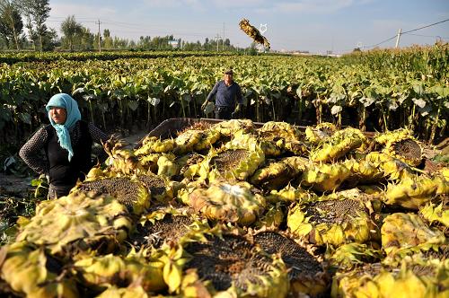 9��5�գ�����ʡ������������Ȳ۴�ũ��л��÷���󣩺��ɷ����Ĵ��ڵ����ո����տ���ʳ����