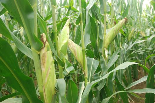 ����������������������