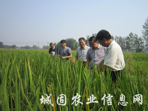 �����ṇ̀�����ʾ���ѡ�ֲ�����2