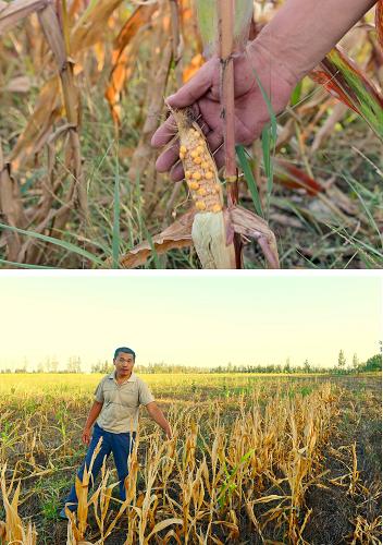 �º�����ʮ����һ����������߽������Ҿ��յ����������9��6���㣬ƴ����Ƭ��