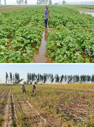 ��ͼ���º����Ϸ��ٴ�һ��������������ˮ��7��11�㣩����ͼ���º�����ʮ��������������������������ժ��ʣ�޼����޻�