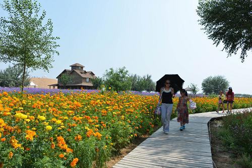 οڵشڸɳĮԵнɳξ棨822㣩ĿǰɳĮÿӴο100˴Σۺ볬4Ԫ