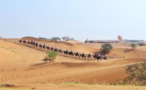 οɳͷ棨822㣩ĿǰɳĮÿӴο100˴Σۺ볬4Ԫ