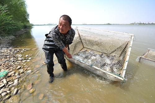 ĻڸɳĮڸԱڲ㣨822㣩ڸ1Ķˮֳÿ500֡