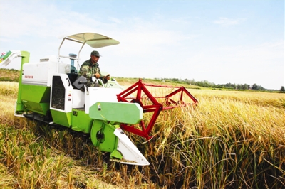 ���ճ���ˮ����ʼ�ո�