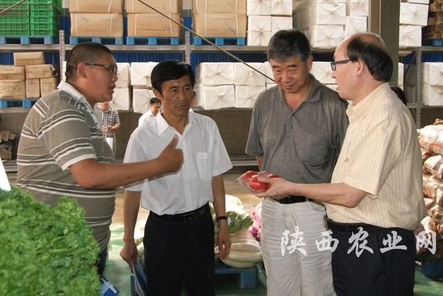 陕西省农业厅副厅长高爱平、省教育厅副厅长张雄强查看“农校对接”专供区域
