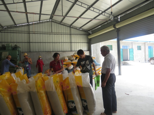 云南景东县杂交粳稻制种基地建设项目有序推进