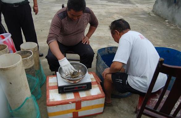 �Ĵ�üɽ����բз��ֳ��һ�� ����̬������̬з��ͼ��3��