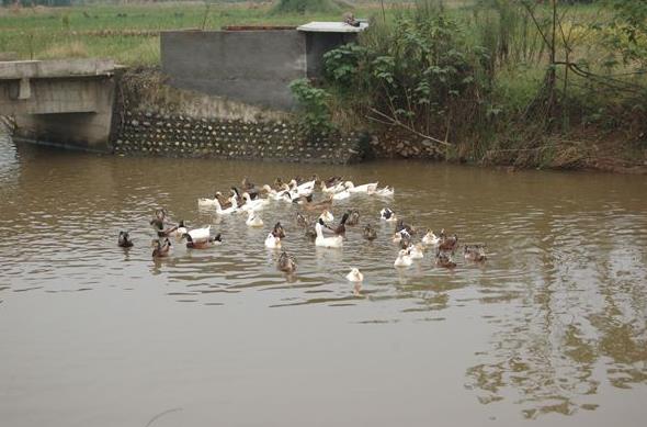 �Ĵ�üɽ����բз��ֳ��һ�� ����̬������̬з��ͼ��4��