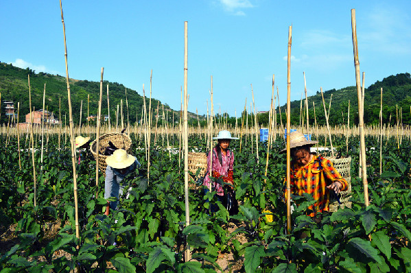 �潭����߲�1800�� ʵ��Ч��1500��