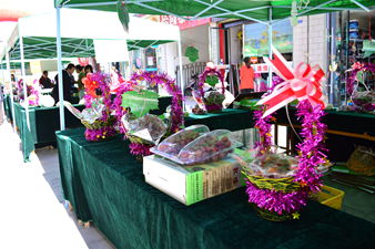 ������й� �ػͣ����ʣ������Ļ������ŹϹ�չ����Ļ