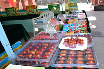 ������й� �ػͣ����ʣ������Ļ������ŹϹ�չ����Ļ��ͼ��2��