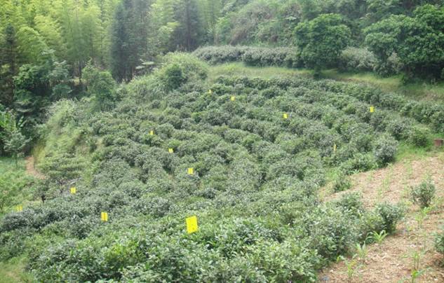 F:\��ʡ������\��������ƪ\������\�½��ļ��� (2)\��Ҷ\DSC08336.JPG