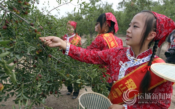 山西稷山举办第四届板枣科技文化活动周