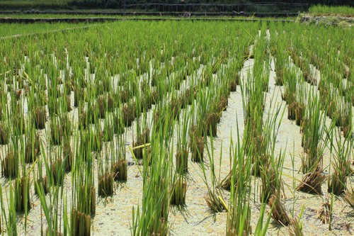 �㽭��������ׯ���������պ�������