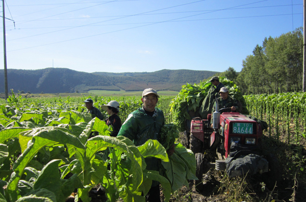 �����������ؿ��̷���