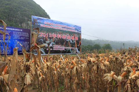 ɽũҵٿȫӽƷϵֳĦ