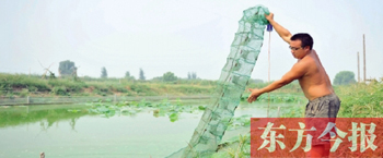 养泥鳅的大学生 三年教训本事增