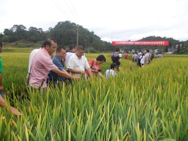 �ֳ���Ħ���������Ա����鿴ˮ��������״���֣�������ˮ����������