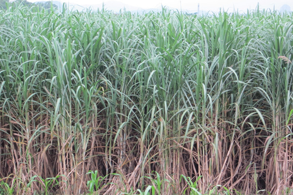 ������ɽ5000��Ķ���������ᡱ��������