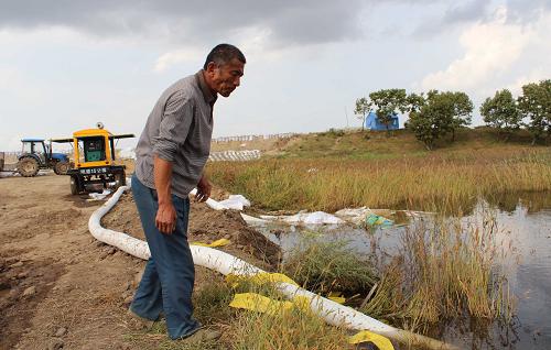 黑龙江同江市开展农田排涝生产自救