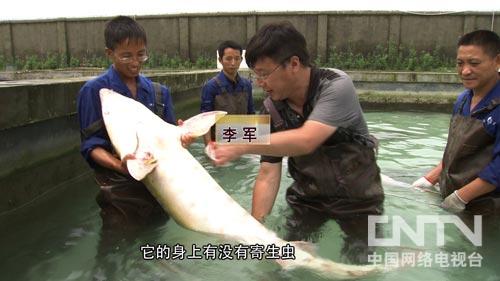 �¸������ѻ��������ĲƸ�������ͼ��1��