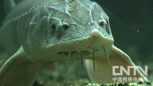 �¸������ѻ��������ĲƸ�������ͼ��2��