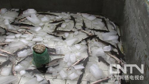 �¸������ѻ��������ĲƸ�������ͼ��4��