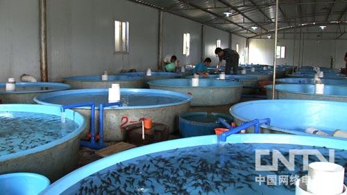 �¸������ѻ��������ĲƸ�������ͼ��5��