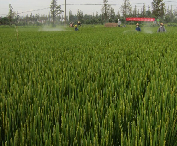 �����綫�ط������ץˮ�����ڹ�������