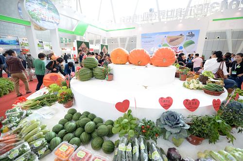 ����������������ɫʳƷ�� ���衰���ʳ�����