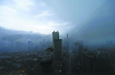 武汉低温阴雨 春花“上当”开错了季