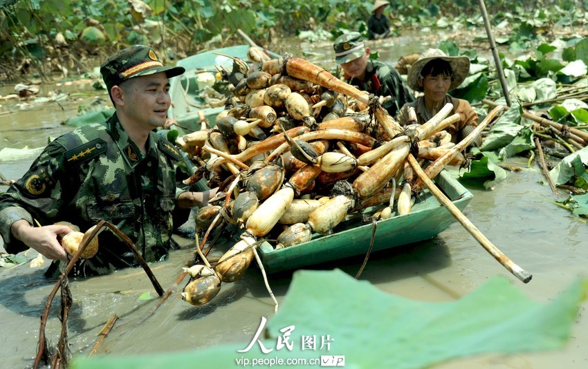 �㶫��ɽ�߷��ٱ����齭����ũ��������ź