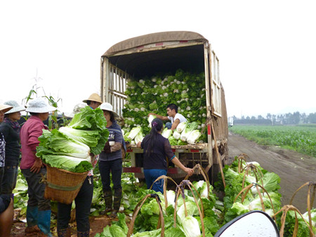 ���Ͽ�Զ�к�����ԭ��ֲרҵ���������������Ĵ�ײ�