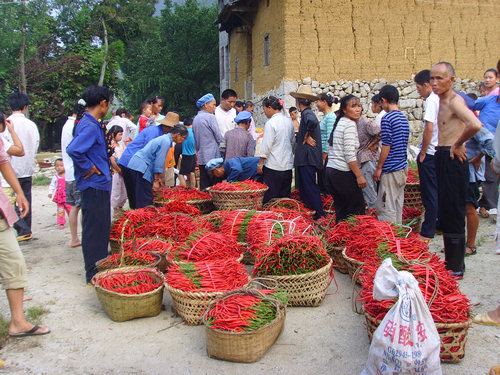 �����ϵ�������վ��չ��������ѡ�ֹ���