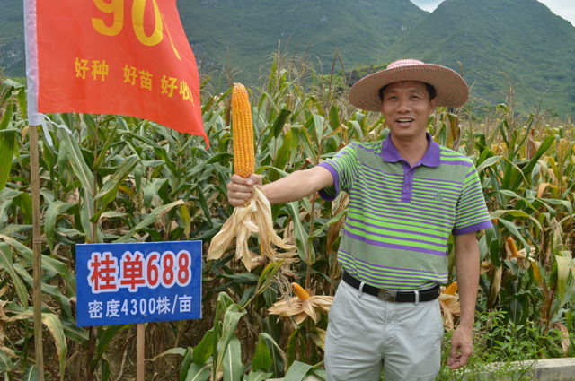 �������������������ƹ㹤����Ч����