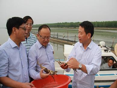 ոʺբз쵽̨塰֤ͨ