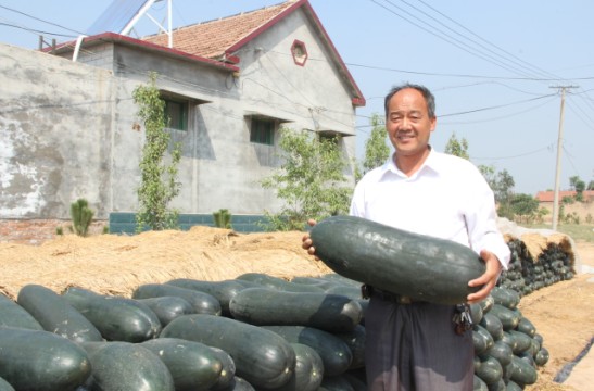 ޡ䡰ޡ ģƤϵĲ֮Ե