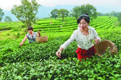 ���գ������ ���ɽ��С����