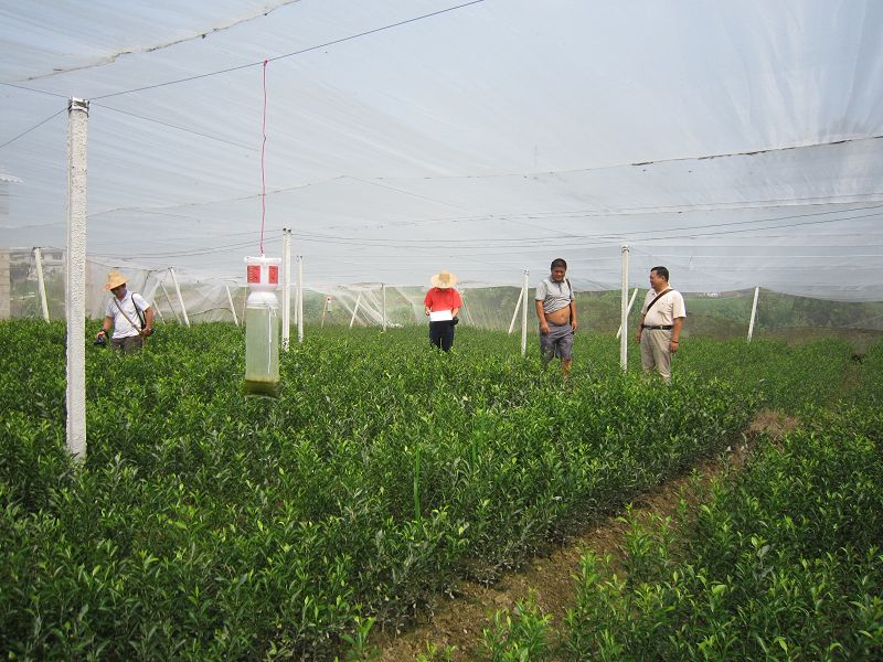 ���������ش������ָ����޲����Ե�����