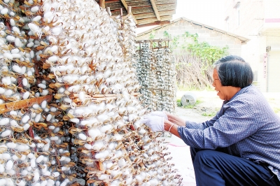 ����������ϲ����ϼۺ�