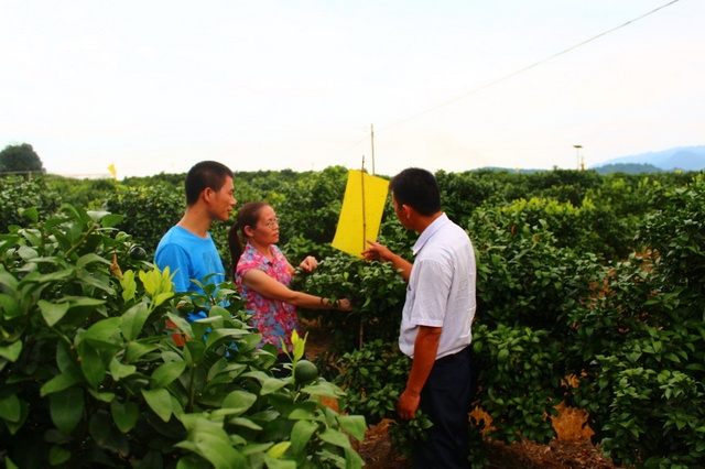 �������֣�ˮ��������Ա����ָ��æ