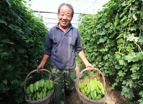 ������Ӱ�ƽ���ũ��չʾ�ջ�Ŀ��