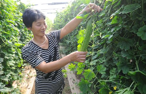 ������Ӱ�ƽ���ũ��ժ���